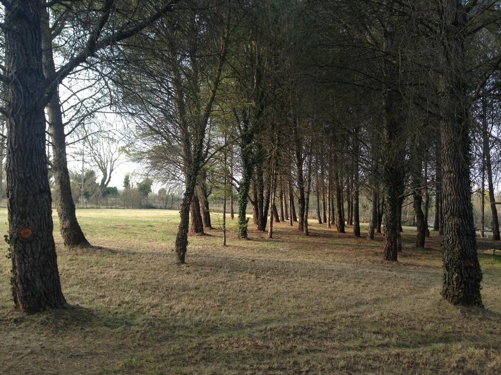 Le Mas De Trevouse Saint-Saturnin-lès-Avignon Dış mekan fotoğraf