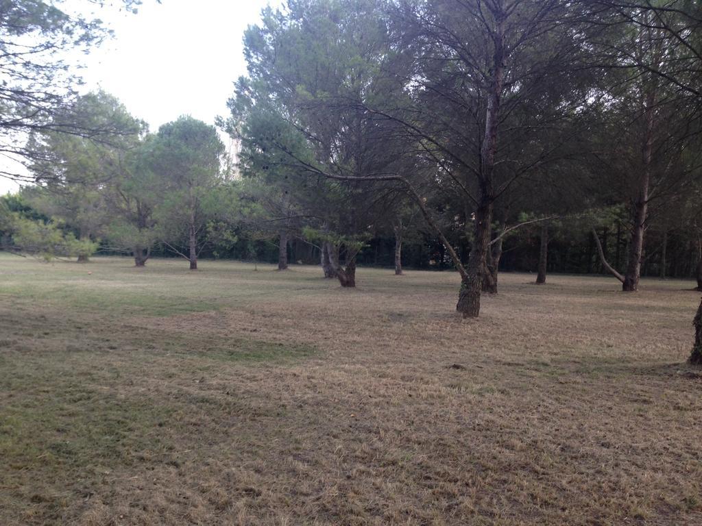 Le Mas De Trevouse Saint-Saturnin-lès-Avignon Dış mekan fotoğraf